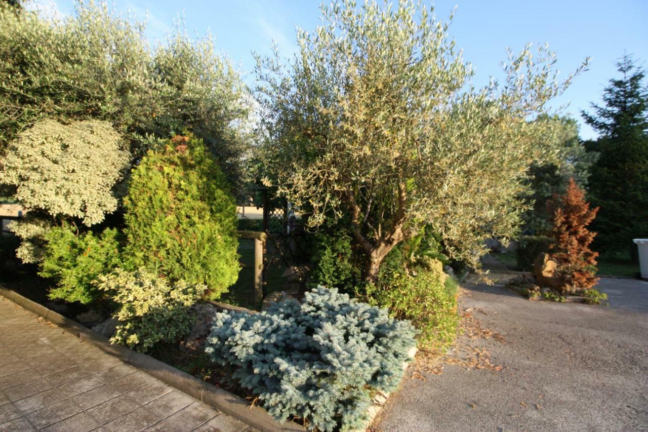Bed and Breakfast Il Casale Di Nonno Guido Monterado Zewnętrze zdjęcie