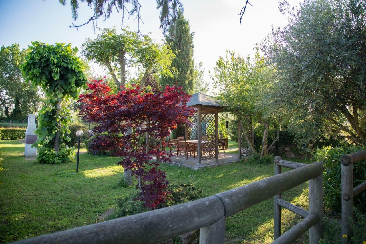 Bed and Breakfast Il Casale Di Nonno Guido Monterado Zewnętrze zdjęcie