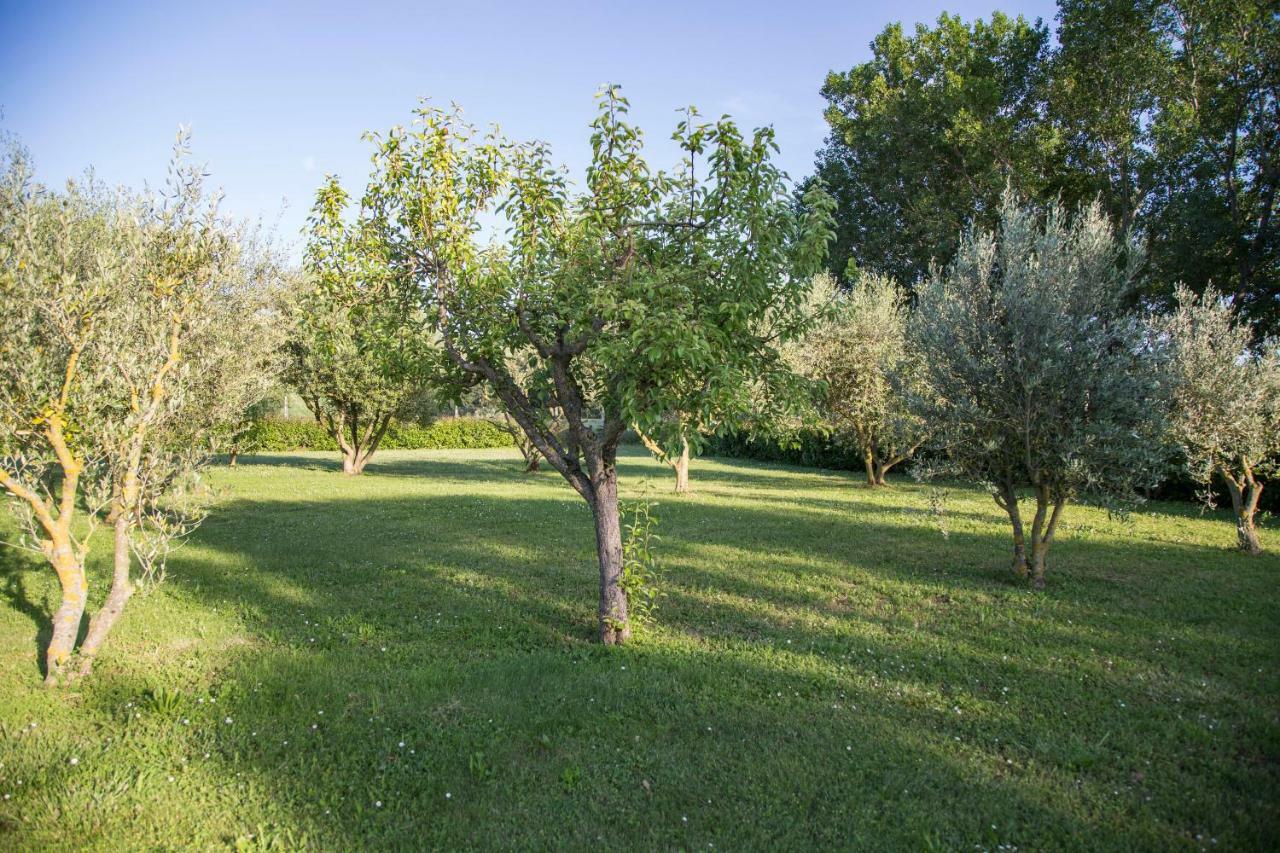 Bed and Breakfast Il Casale Di Nonno Guido Monterado Zewnętrze zdjęcie