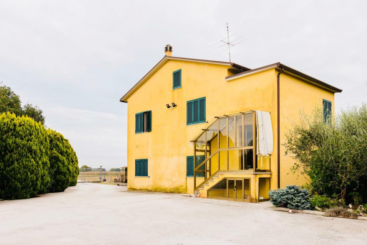 Bed and Breakfast Il Casale Di Nonno Guido Monterado Zewnętrze zdjęcie