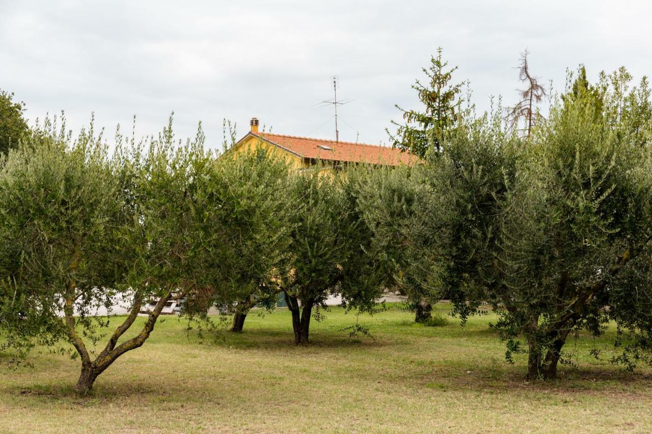 Bed and Breakfast Il Casale Di Nonno Guido Monterado Zewnętrze zdjęcie