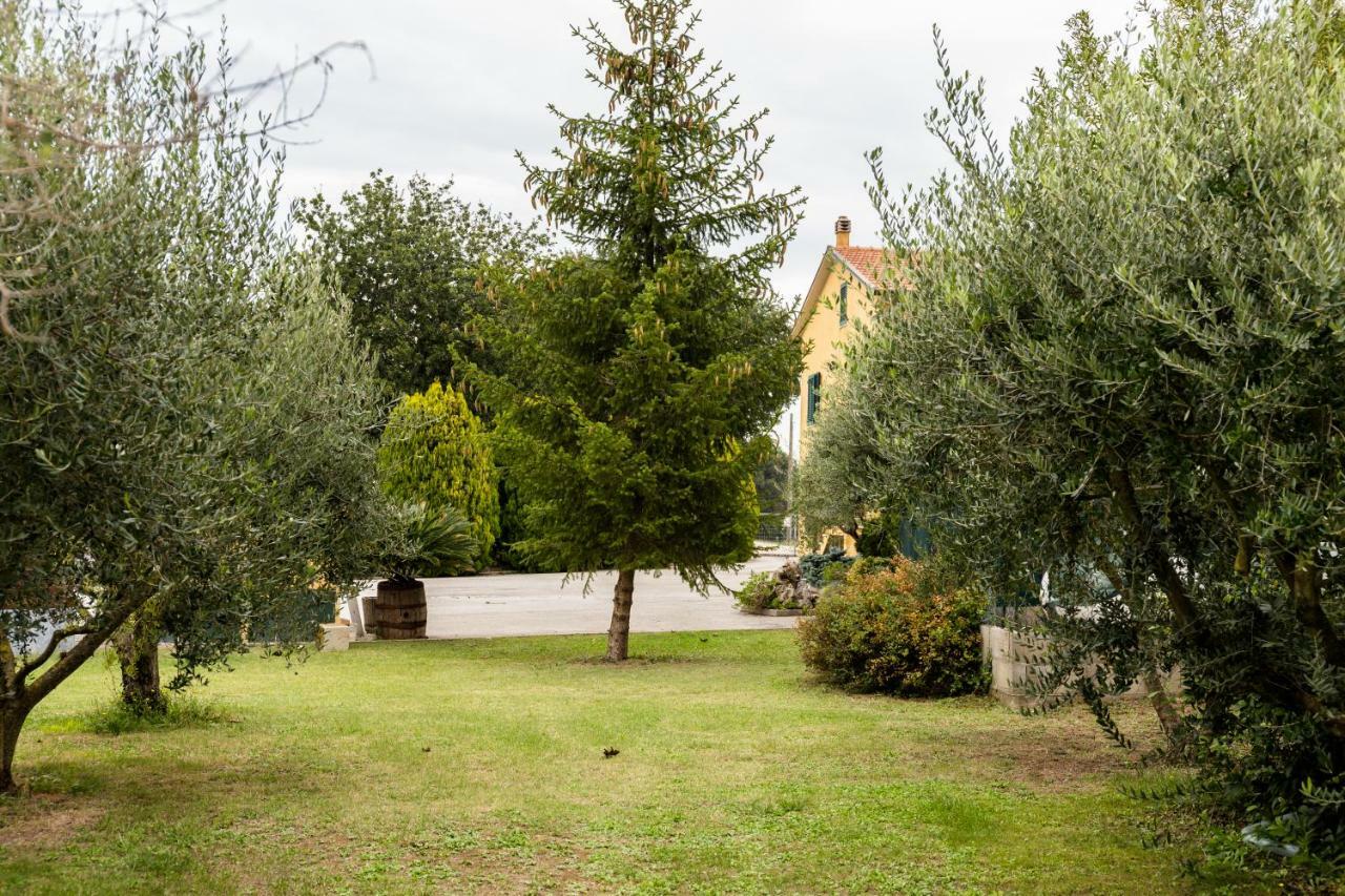 Bed and Breakfast Il Casale Di Nonno Guido Monterado Zewnętrze zdjęcie