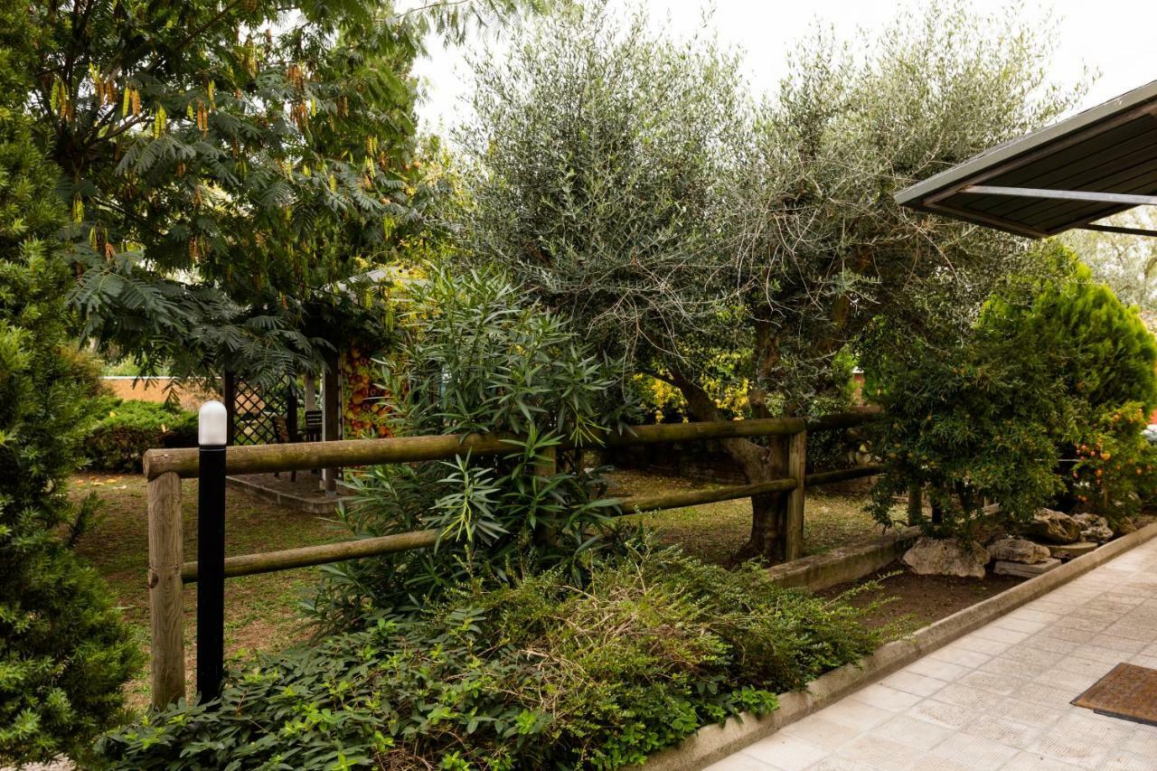 Bed and Breakfast Il Casale Di Nonno Guido Monterado Zewnętrze zdjęcie